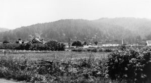 Hagmaier Ranch wide view from State Highway 1 showing landscape with fencing, vegetation, house, and ranch buildings in background. Tree covered hills in distance.