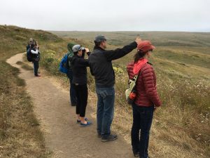 Trailside discussion, Tomales Point trail. (Photo by Allison Kidder)